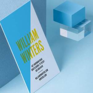 SelfLawyer SelfLawyer